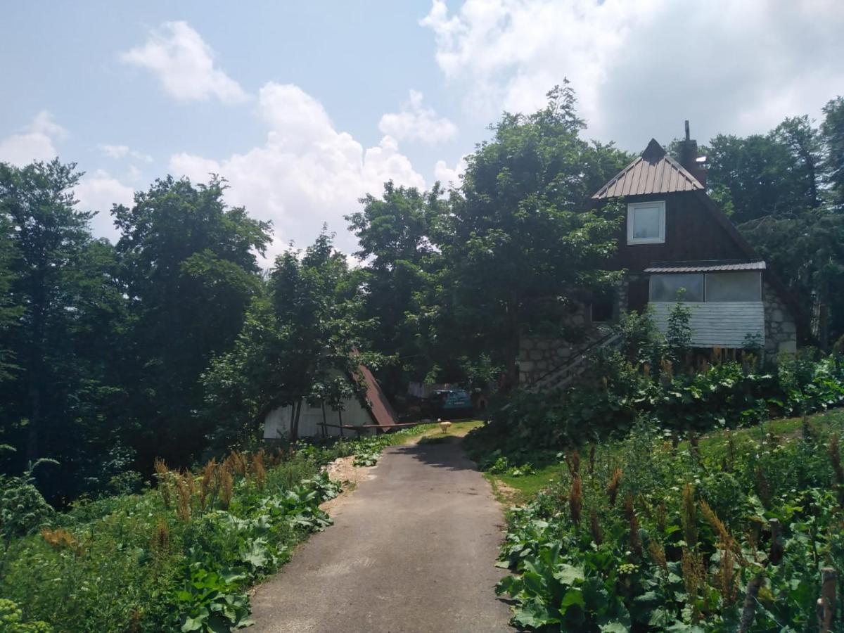 Dobre Vode 2 Apartment Zabljak  Bagian luar foto